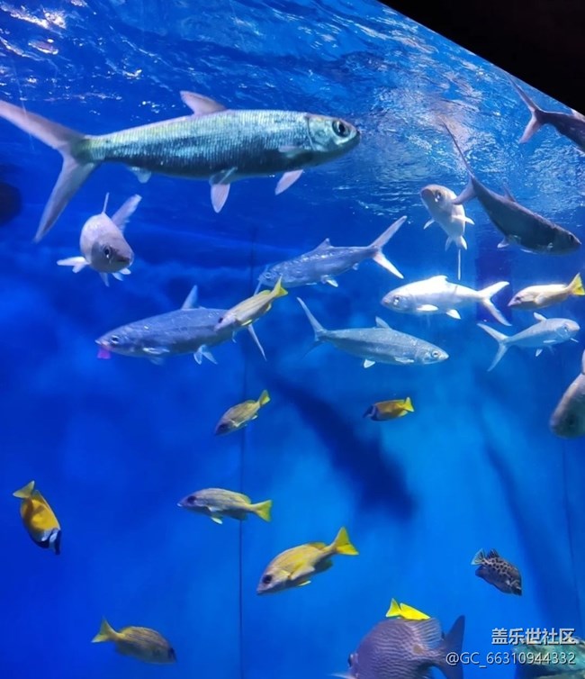【避暑圣地】海底世界