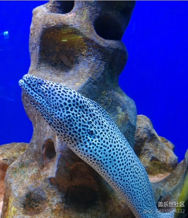 【避暑圣地】海底世界