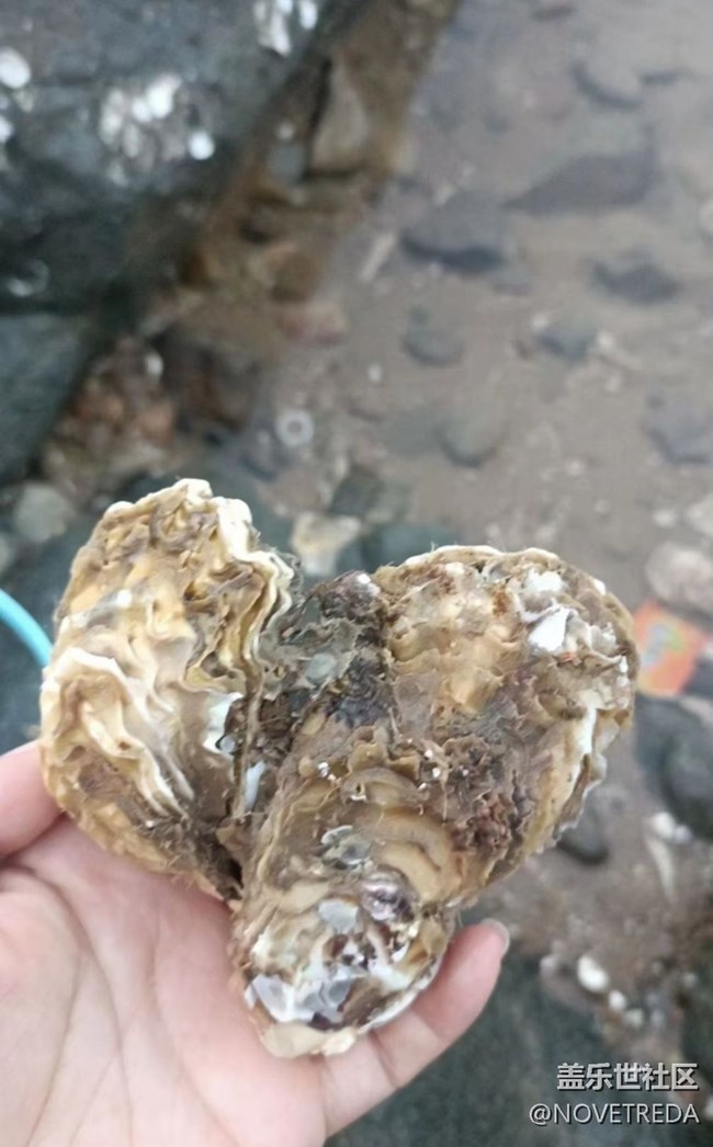 【避暑圣地】海边
