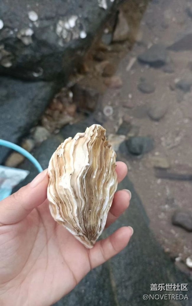 【避暑圣地】海边