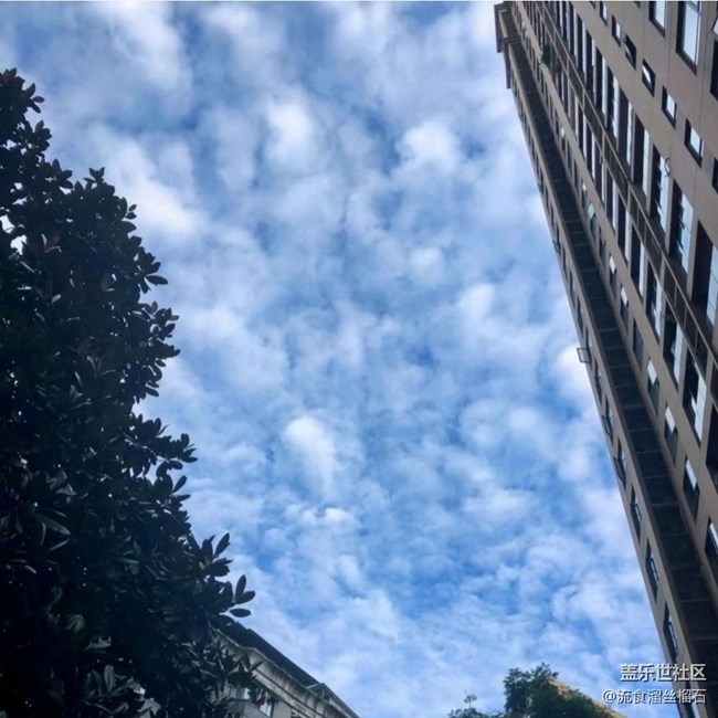 【雨过天晴】小区的天空