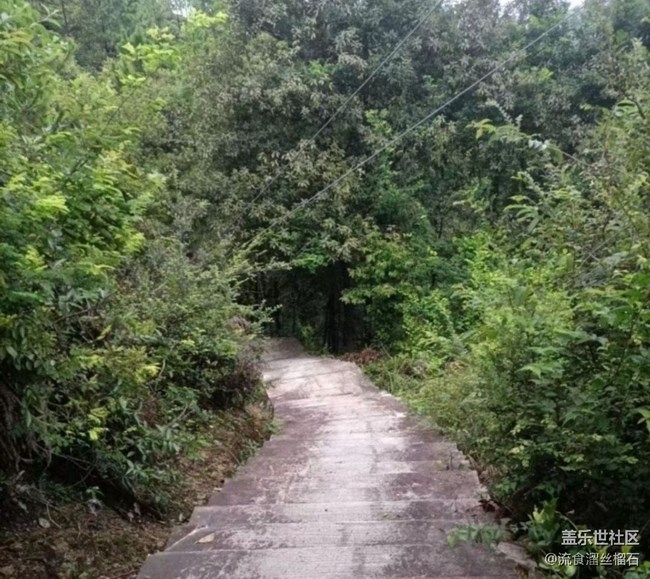 【光影之约】晨练