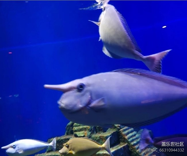 【避暑圣地】海底世界