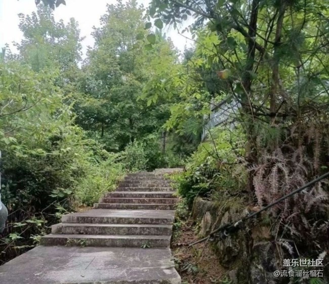 【光影之约】晨练