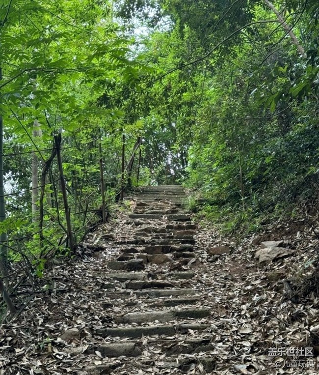 【避暑圣地】莫干山