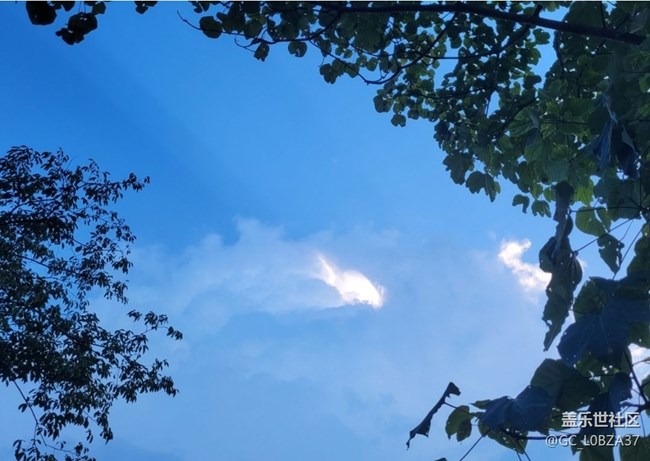 【雨过天晴】闷热天气
