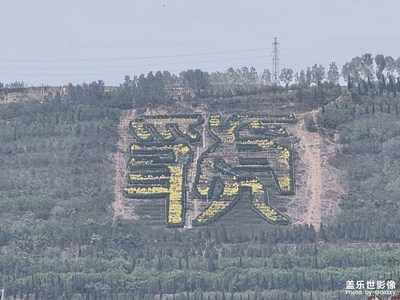 【远与近】+溜达一圈