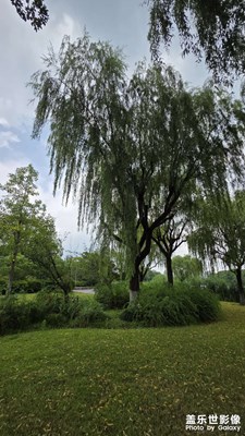 【远与近】+ 夏天的河边