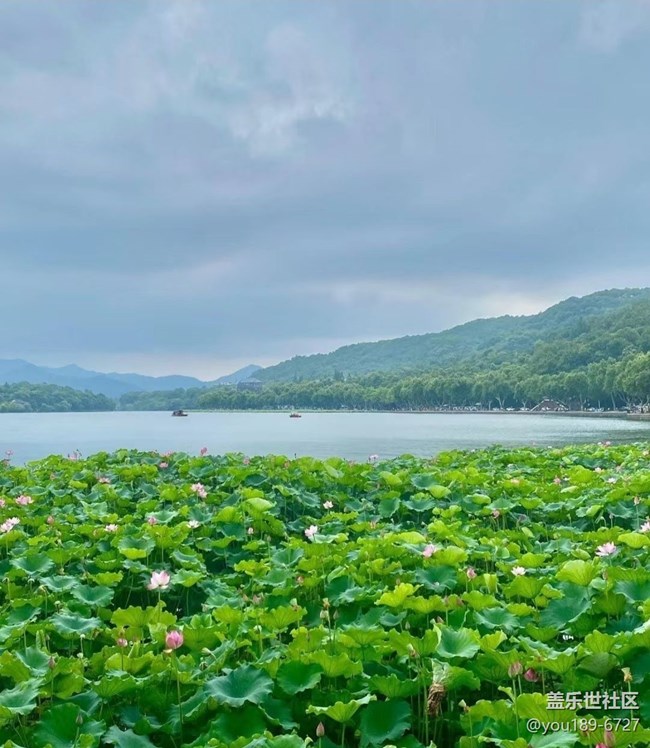 【光影之约】西湖美景