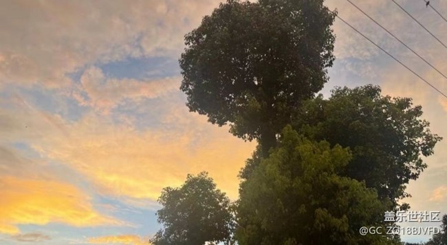 【光影之约】回村