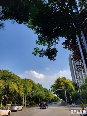 【远与近】+ 酷暑