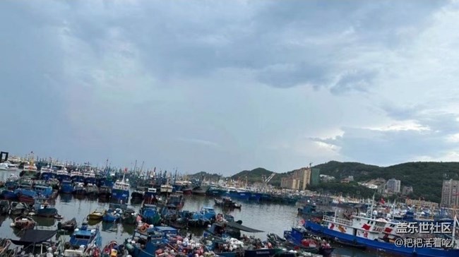 【雨过天晴】赶海