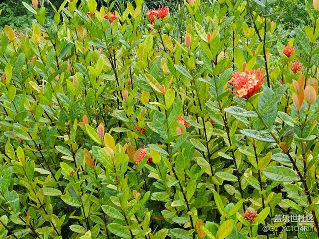 【瞬间及永恒】雨后清新