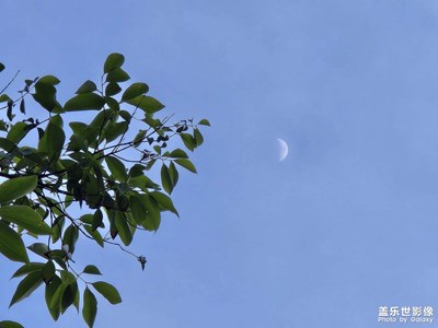 【远与近】+月亮