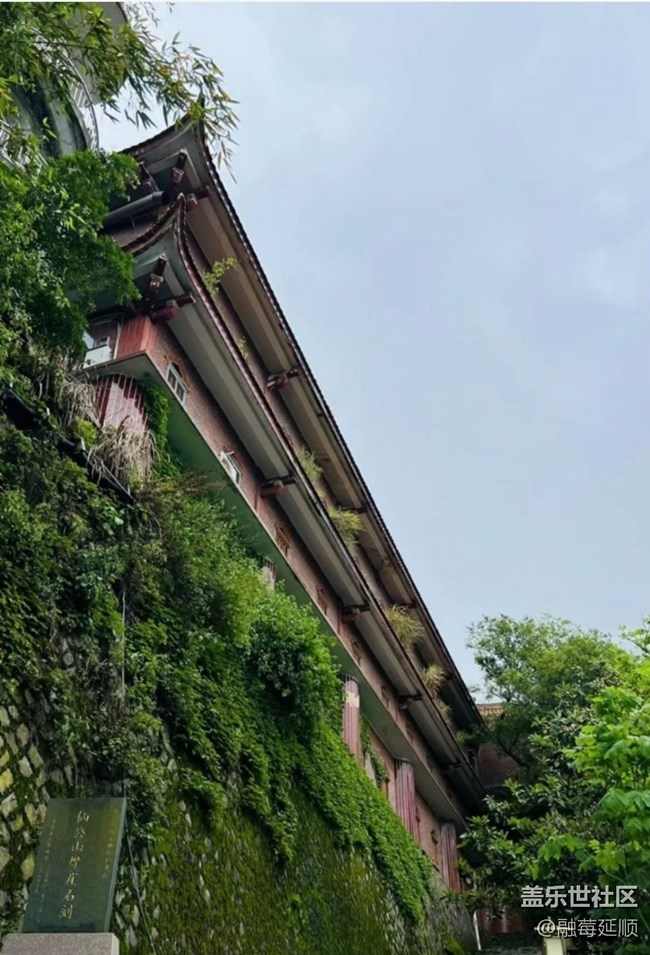 【雨过天晴】天然氧吧