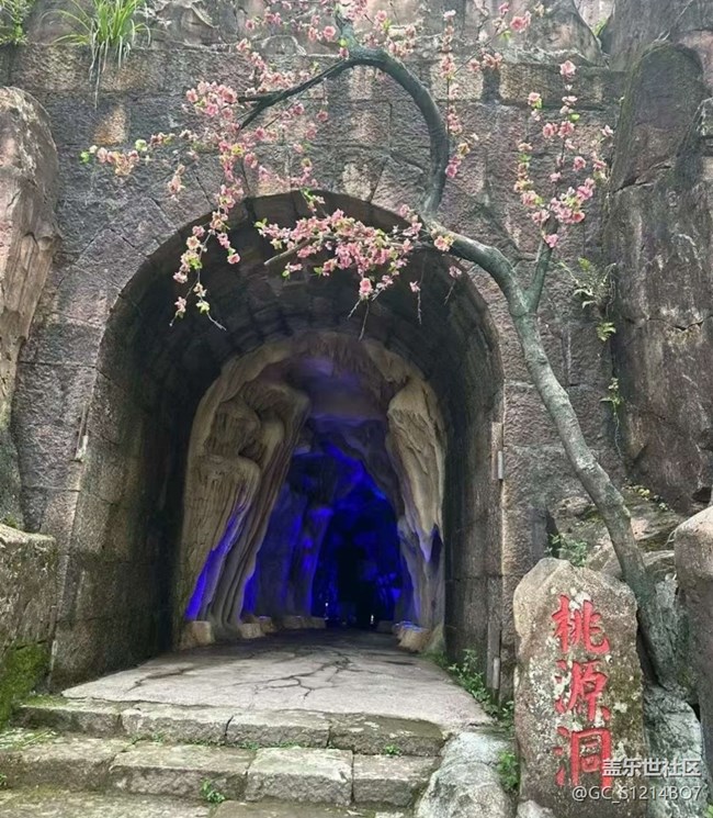【光影之约】你好七月