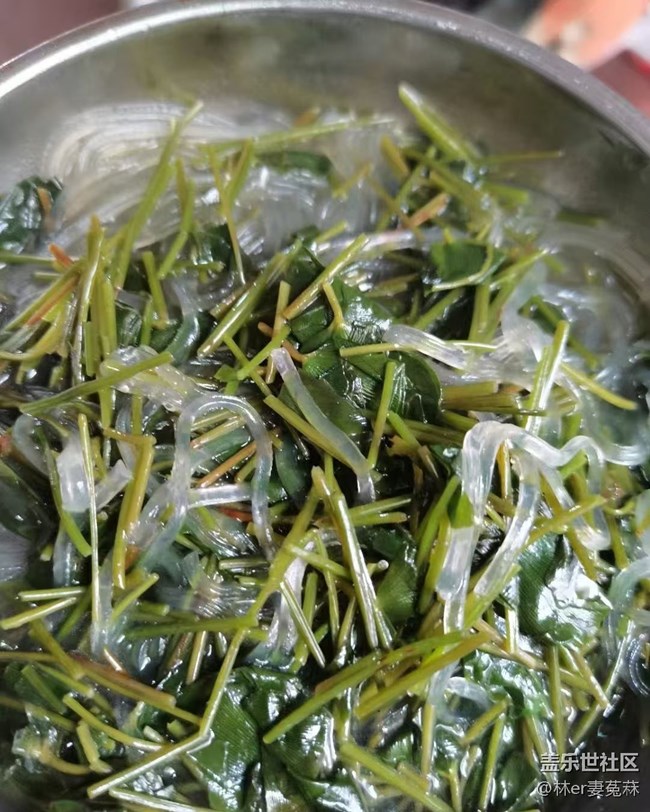 【食在当夏】野菜