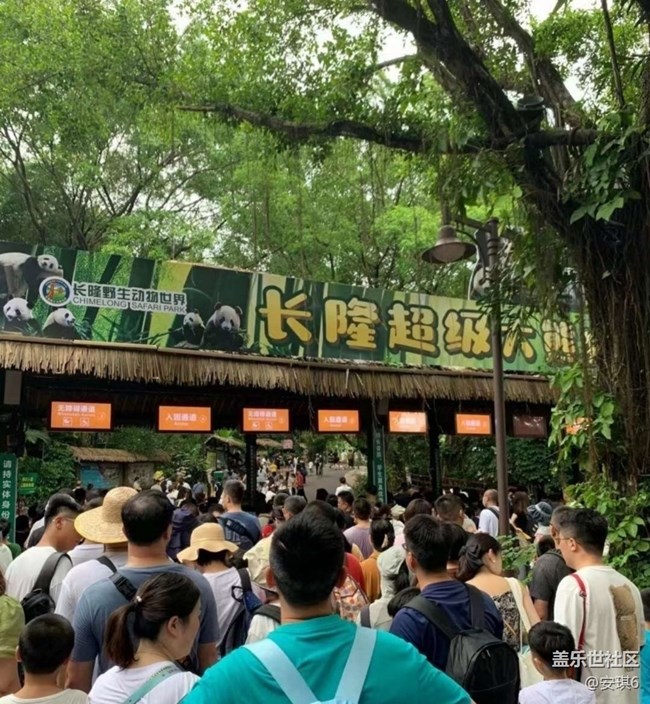 【毕业之旅】暑期去长隆