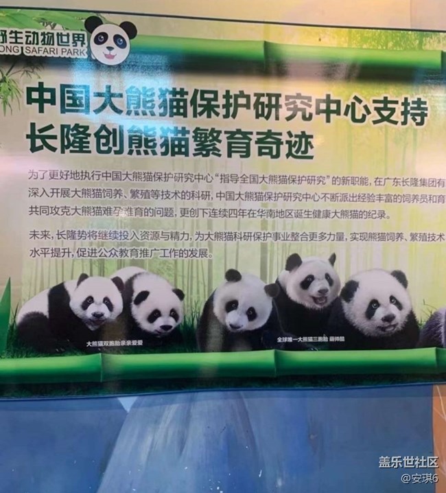 【毕业之旅】暑期去长隆