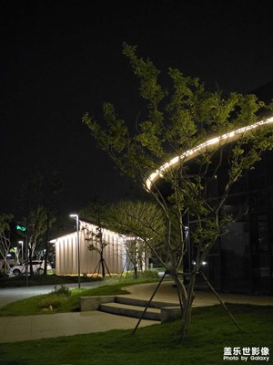 公园一角之夜景
