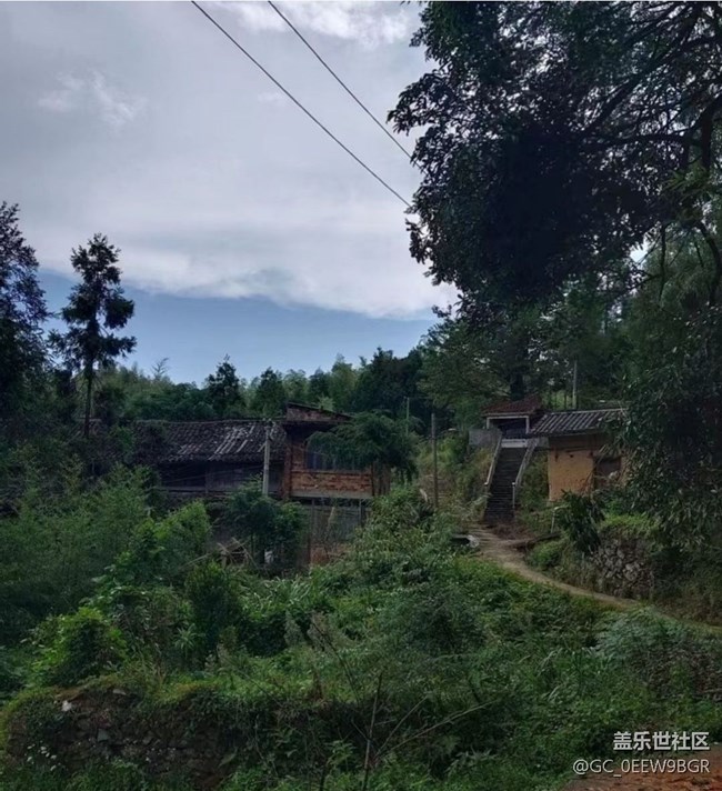 【光影之约】故乡的绿色