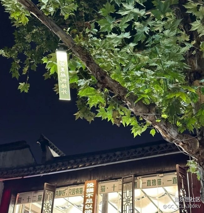 【毕业之旅】江南水乡