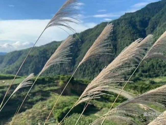 【光影之约】山里美景