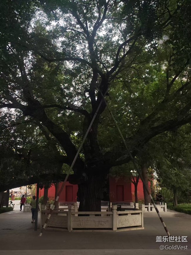 【仲夏调色盘】穿梭城市之间