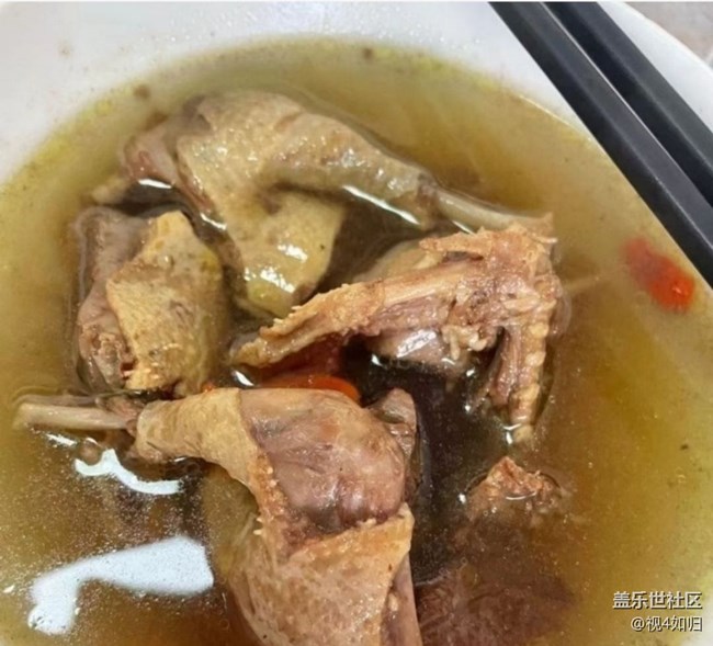 【食在当夏】鸽子汤