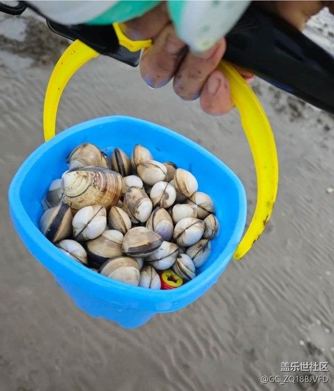 【毕业之旅】黄金海滩