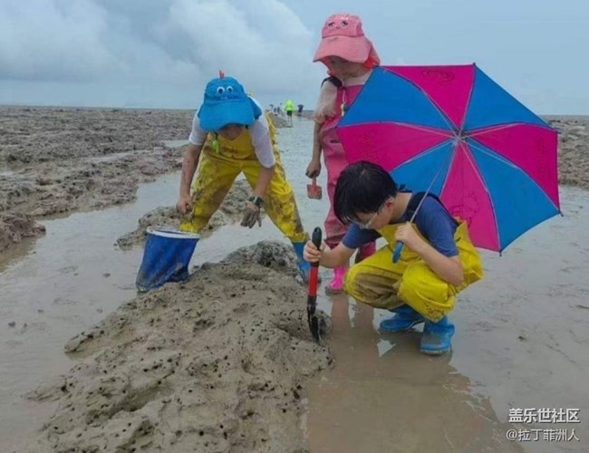 【雨过天晴】滩涂赶海