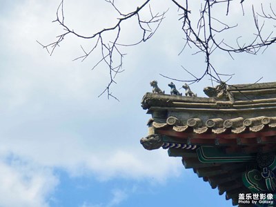【寻踪古韵】+法源寺