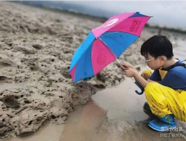 【雨过天晴】滩涂赶海