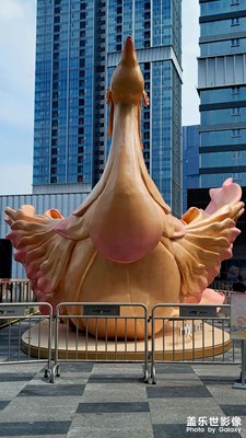 【 寻踪古韵】现代都市的风采