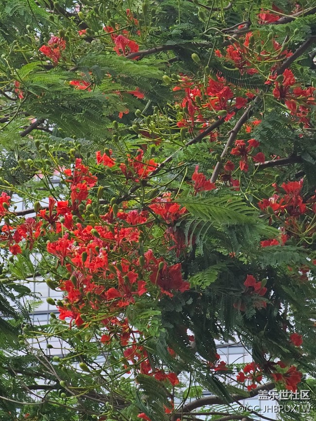 【毕业之旅】旅行