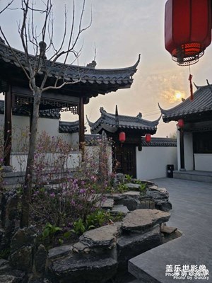 太美了