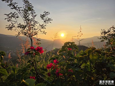 旅游随拍