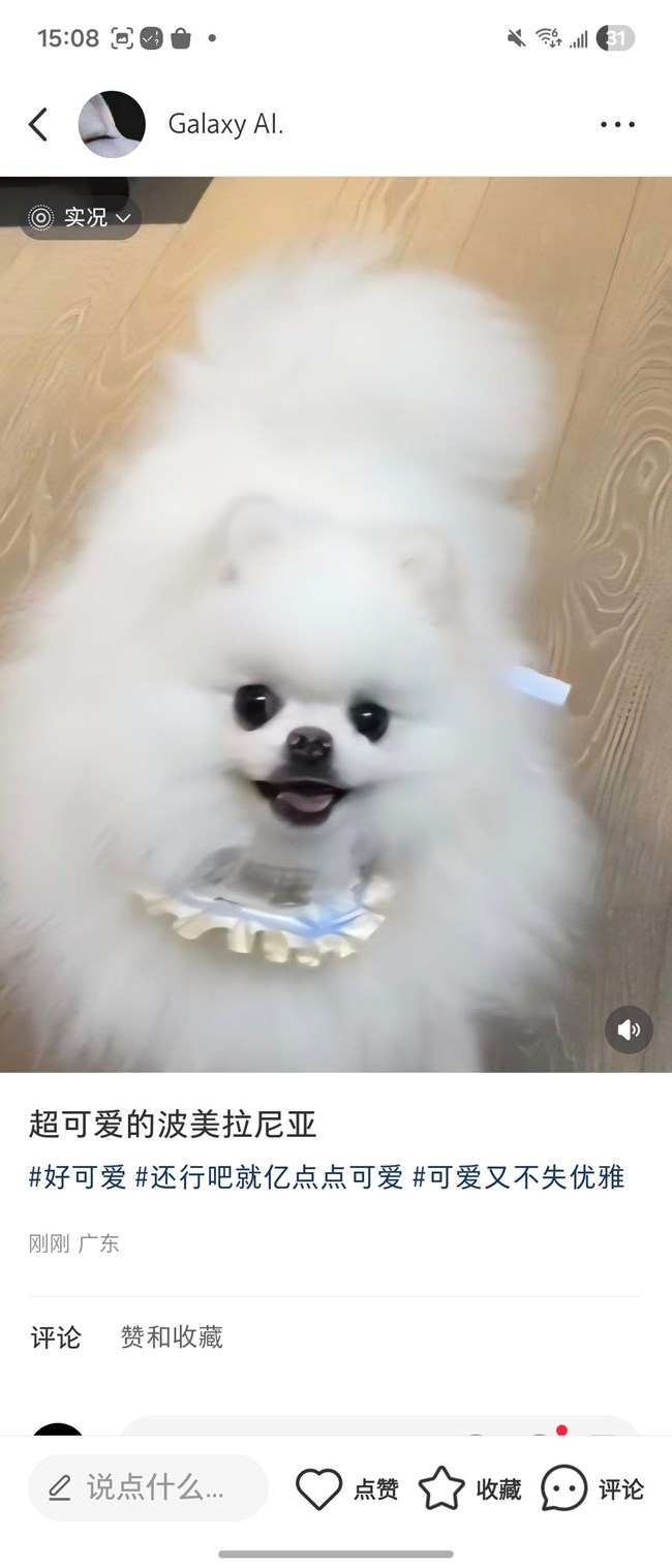 动态照片社交平台分享