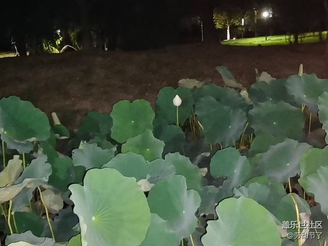 【光影之约】休息天