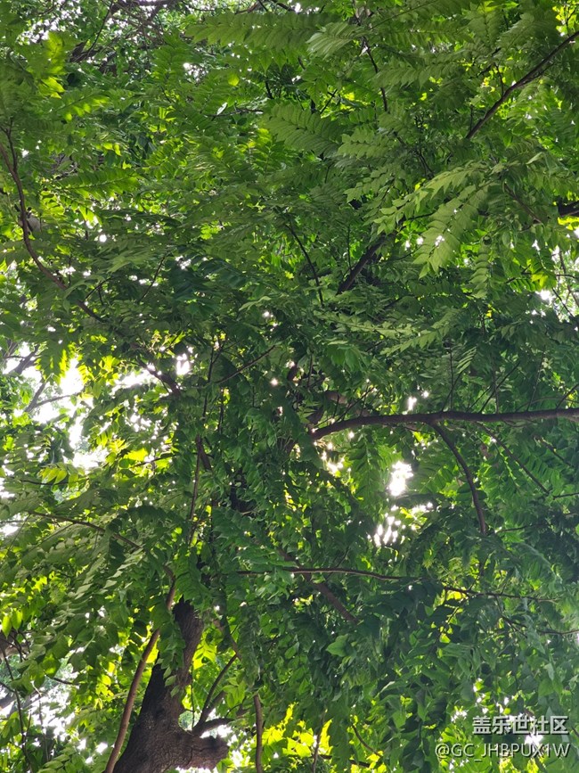 【雨过天晴】阳光明媚