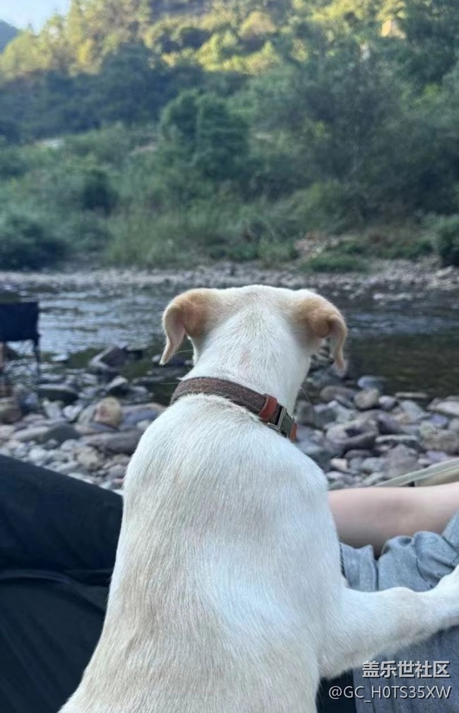 【光影之约】河边露营