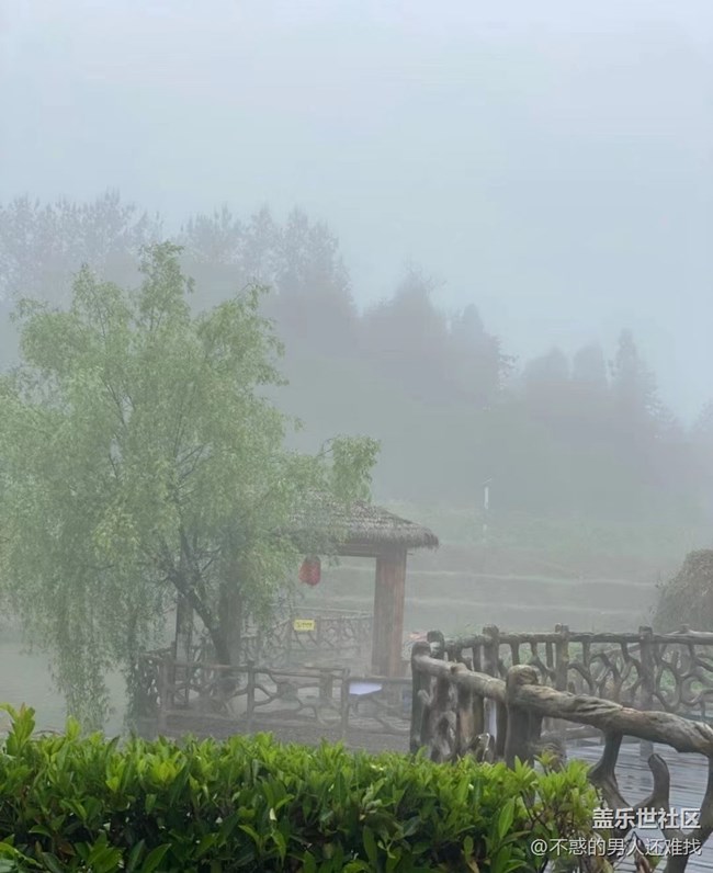 【光影之约】雨天