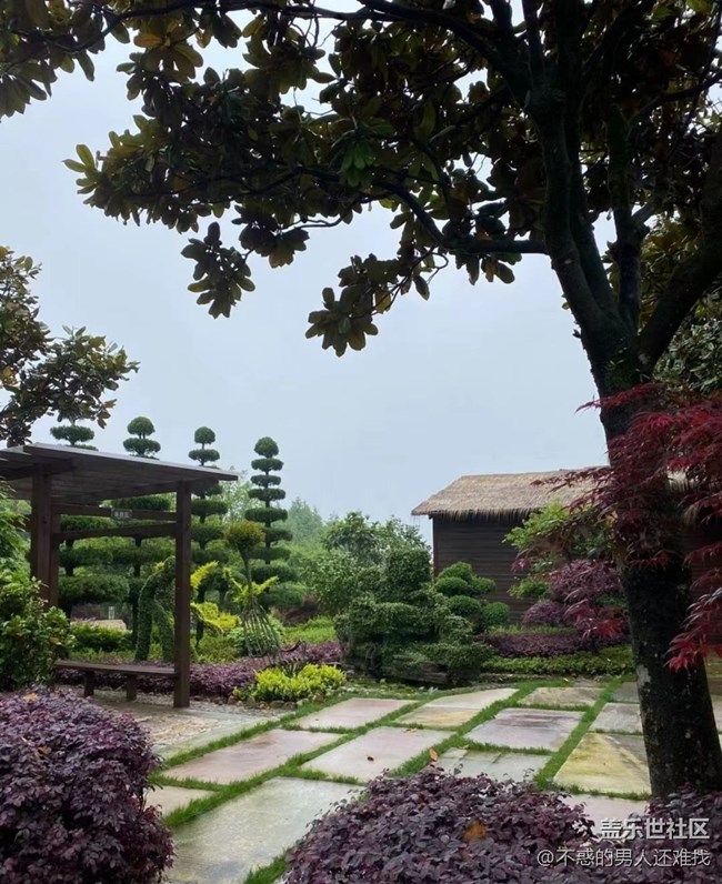 【光影之约】雨天
