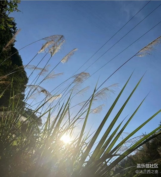 【光影之约】下河摸螺