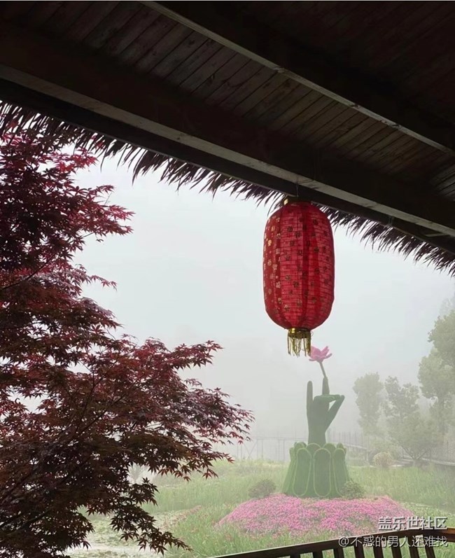 【光影之约】雨天