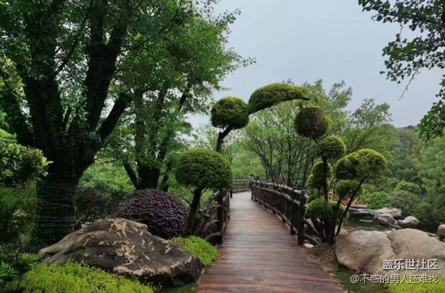 【光影之约】雨天