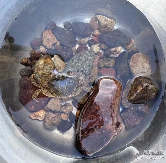 【光影之约】河边露营