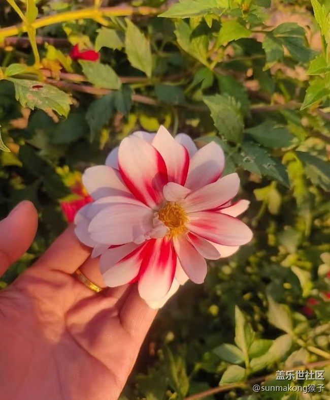 【光影之约】夕阳西下