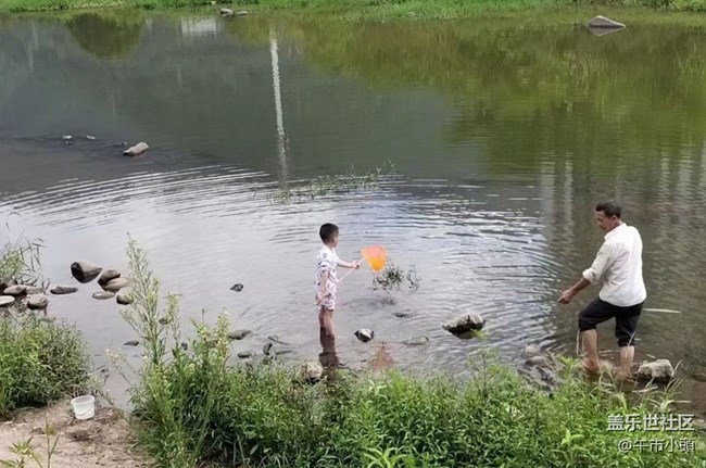 【光影之约】下河捞鱼