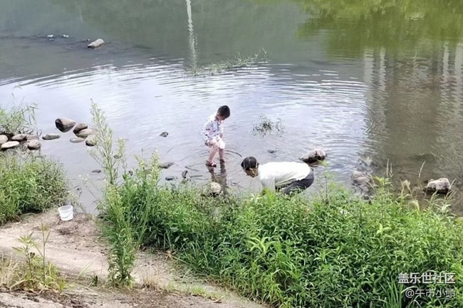 【光影之约】下河捞鱼